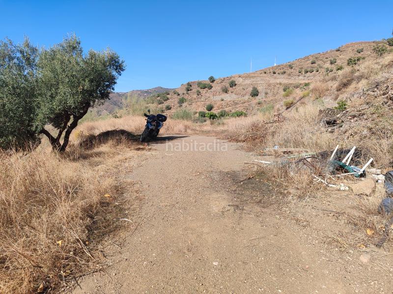 Foto 4a34b17a-eb39-44c7-a769-a247dc384850. Finca rústica a calle fuente ariza 15a a Algarrobo pueblo Algarrobo