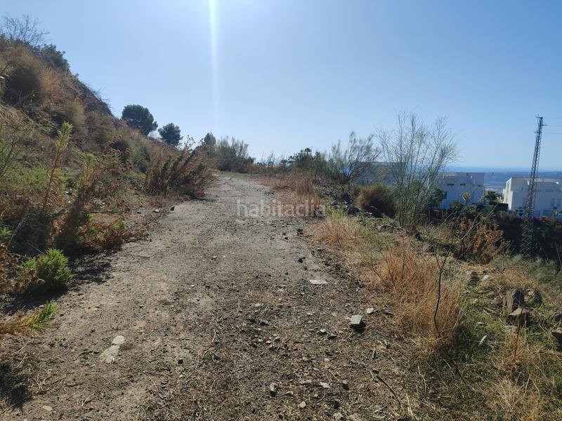 Foto 506e0289-f723-47a0-8a88-96a135826a5b. Finca rústica a calle fuente ariza 15a a Algarrobo pueblo Algarrobo