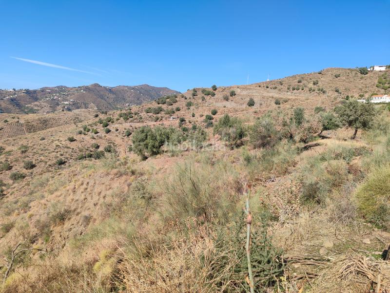 Foto 55b607e8-76cd-4edb-8c26-7edf60d653ad. Finca rústica a calle fuente ariza 15a a Algarrobo pueblo Algarrobo