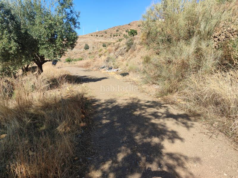 Foto 61859453-64ea-4c2b-b9d2-2c5f1d3f780b. Finca rústica a calle fuente ariza 15a a Algarrobo pueblo Algarrobo