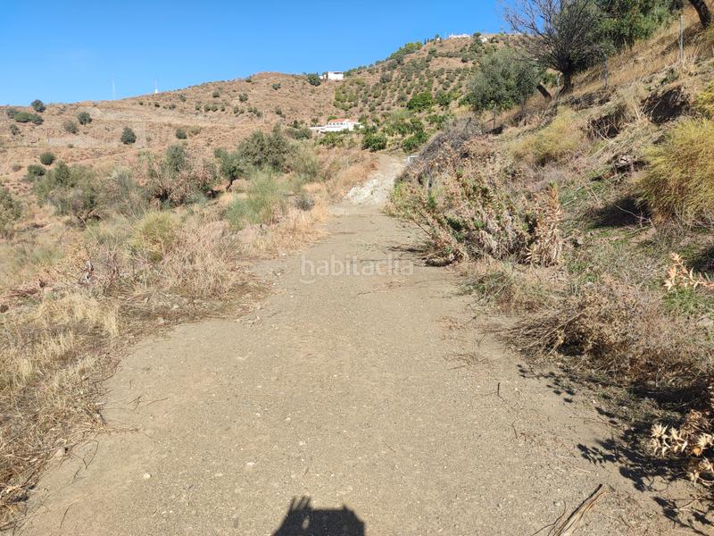 Foto 7142d7b6-d1b6-4cbf-b40b-c9f97660de56. Finca rústica a calle fuente ariza 15a a Algarrobo pueblo Algarrobo
