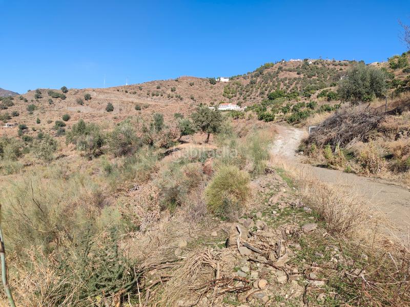 Foto 970bfe5a-7308-45d3-8e1e-e7c66c07e499. Finca rústica a calle fuente ariza 15a a Algarrobo pueblo Algarrobo