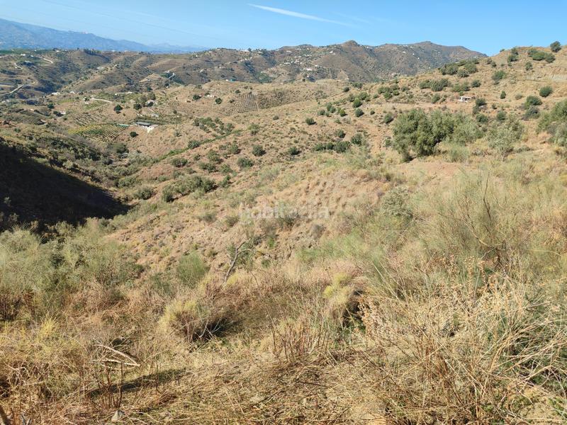 Foto abcc11d2-83db-4d90-b7c8-67ae6c89b6ee. Finca rústica a calle fuente ariza 15a a Algarrobo pueblo Algarrobo