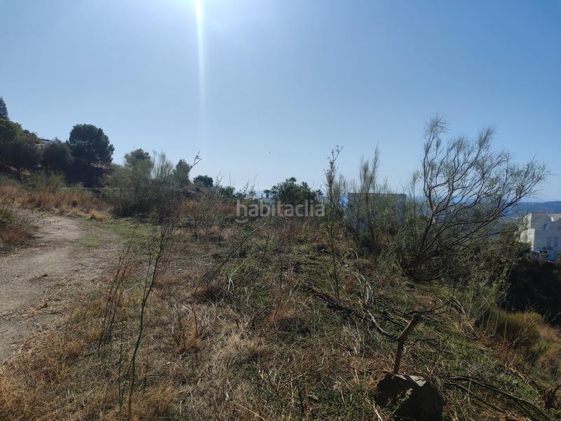 Foto b03538b3-3f3e-4d39-9228-40743286c150. Finca rústica a calle fuente ariza 15a a Algarrobo pueblo Algarrobo