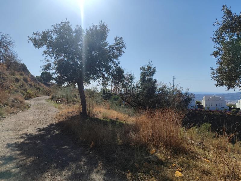 Foto ca202b36-ce3a-4517-900b-bf35c568a683. Finca rústica a calle fuente ariza 15a a Algarrobo pueblo Algarrobo