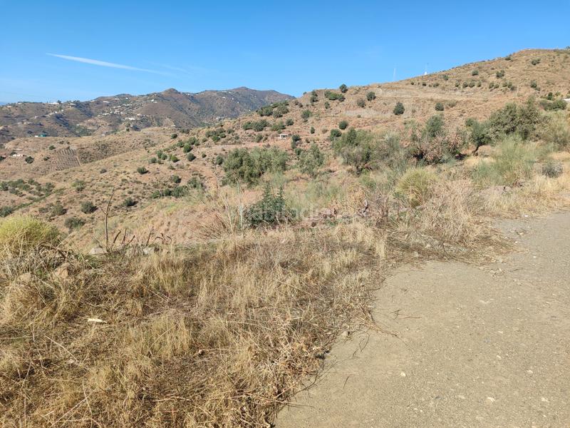 Foto dec6101c-0ecf-4d0a-acb3-a14df7eaf18c. Finca rústica a calle fuente ariza 15a a Algarrobo pueblo Algarrobo