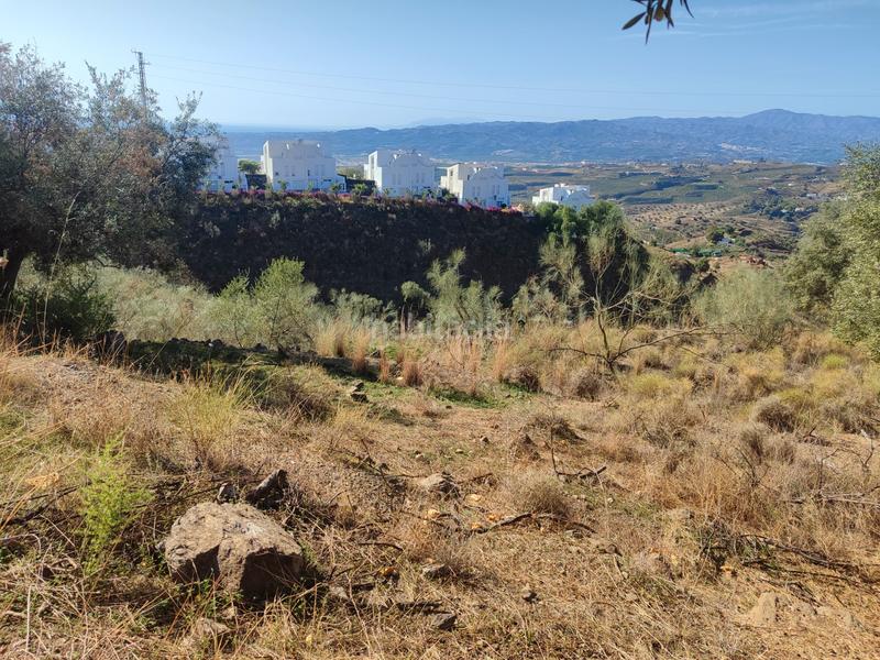 Foto f2ba1625-bf64-4ffb-9bf3-938fb19fefb7. Finca rústica a calle fuente ariza 15a a Algarrobo pueblo Algarrobo