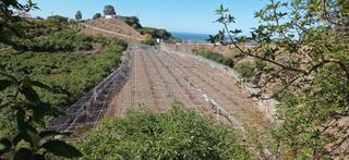 Fondo rustico  Diseminado almayate bajo. Finca llana con muchas posibilidades ¡¡¡ rebajada!!!