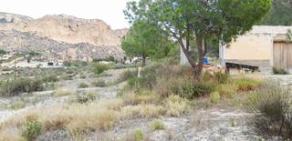 Maison à Crevillente