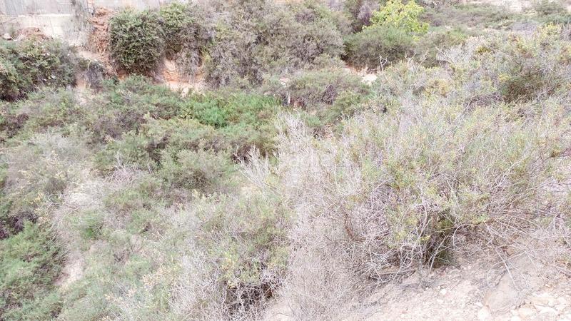 Foto 052edcb9-c2dd-42a9-82c3-452f1fe3795e. Casa a Crevillente