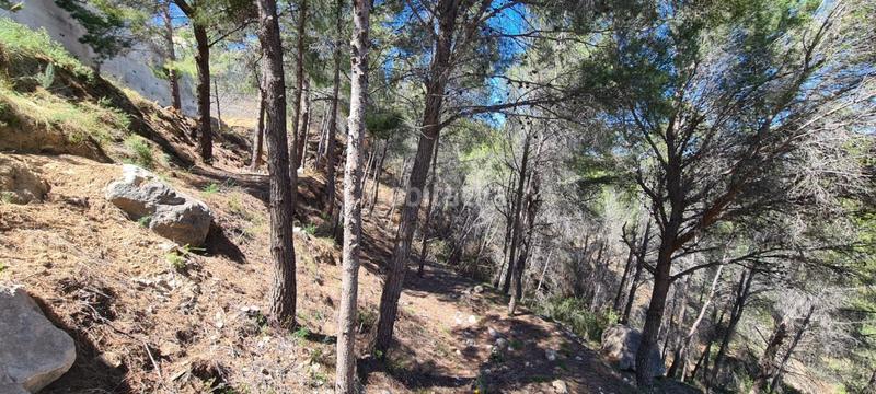 Foto 273ce070-b6b9-4774-9a00-68ccda9a0c70. Terrain résidentiel dans Oltamar - Cucarres Calp