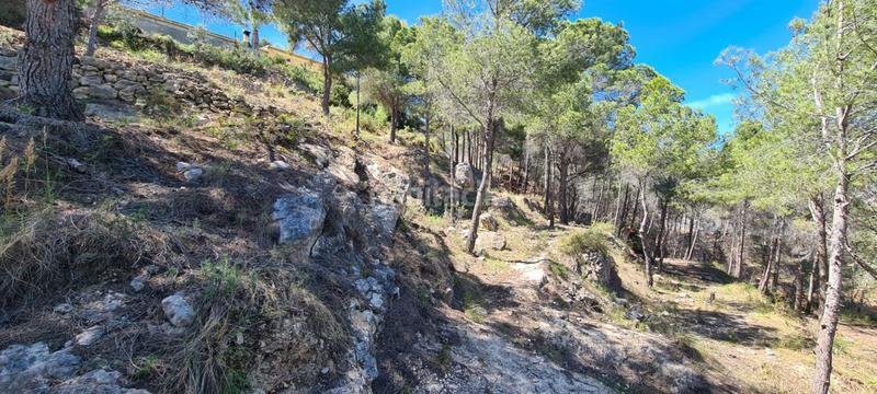 Foto 735ee3d7-f111-465a-a485-e12c07ab909f. Terrain résidentiel dans Oltamar - Cucarres Calp