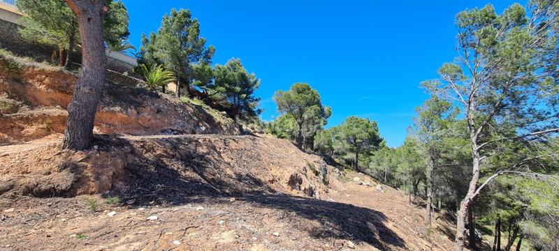 Foto 799eab55-0b7a-42f0-aca5-821a27d04d09. Terrain résidentiel dans Oltamar - Cucarres Calp