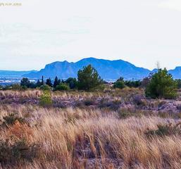 Terreny residencial a Crevillente