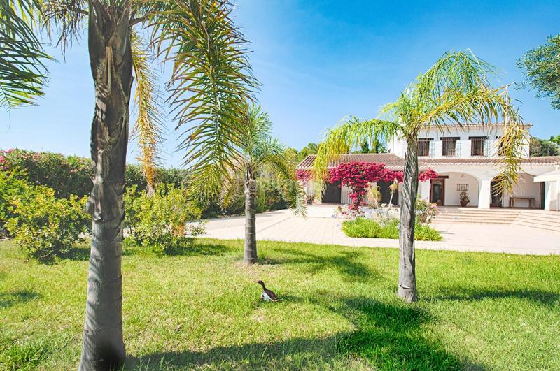 Foto 7b339c06-eb76-43c5-8cd3-3c4ea0bbfc7f. Xalet amb calefacció aparcament piscina a Benissa pueblo Benissa