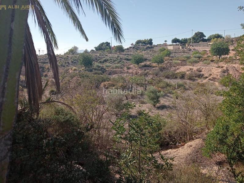 Foto cf84cf6a-c621-4476-adcb-7aa8f79d4cf2. House in Crevillente