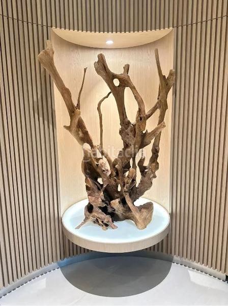 Foto f2f3b379-91ff-4858-a9f4-bfcc9c11e720. Miete büro mit heizung in Barri de les Corts Barcelona