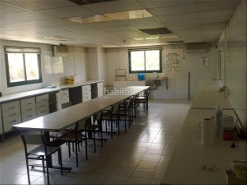 Foto 3c20b61f-538f-49a2-bf77-973e56f50e97. Alquiler nave industrial nave con muelles disponible en Castellbisbal