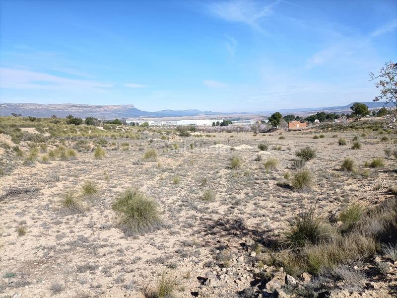 Foto 93a8fa8a-03cf-4ce4-aa73-bab8b5580c82. Terreno residencial parcela rústica ideal para construir tu vivienda en las fuentecicas en Almansa