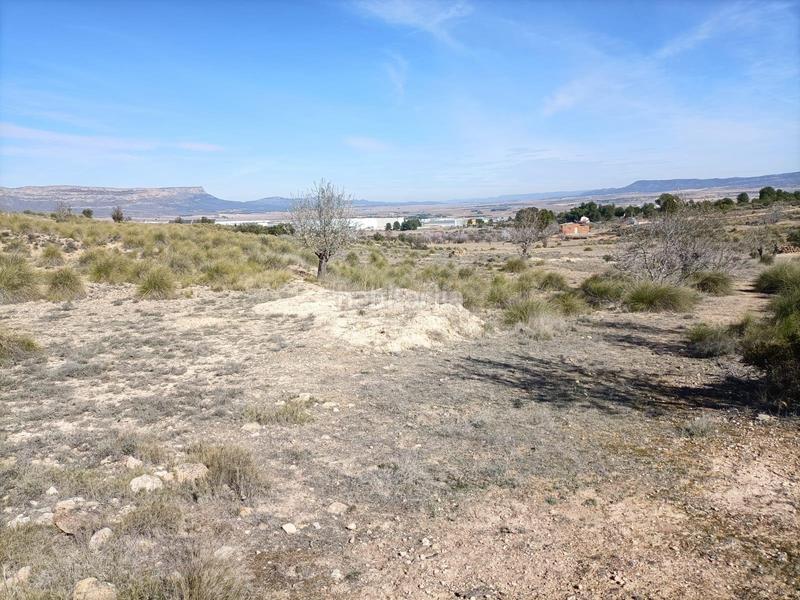 Foto de8a9fd9-7b3e-4966-aecc-dfedbe924b63. Terreno residencial parcela rústica ideal para construir tu vivienda en las fuentecicas en Almansa