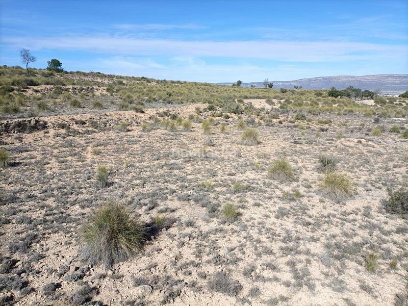 Foto e773bc41-2e70-4b13-aad9-003381e63f5e. Terreno residencial parcela rústica ideal para construir tu vivienda en las fuentecicas en Almansa