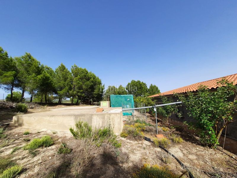 Foto 1d4adca1-c5cb-4eae-8763-1fa458fff195. Casa a Alpera