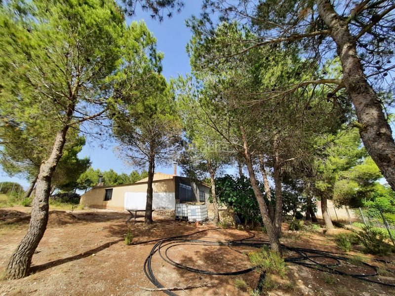 Foto 41f71e47-dcc8-405e-9123-44316e33a146. Casa a Alpera