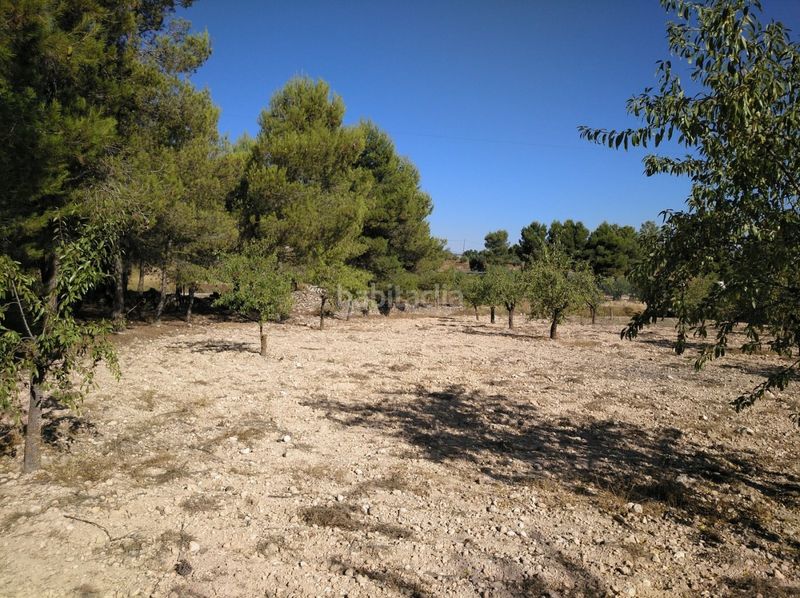 Foto 00ba7bf2-b357-401c-b4df-ca8643deb1b4. Terreny residencial a Almansa