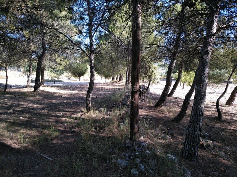 Foto 279359c9-00e0-4136-930c-78ee3eaff34e. Terreny residencial a Almansa