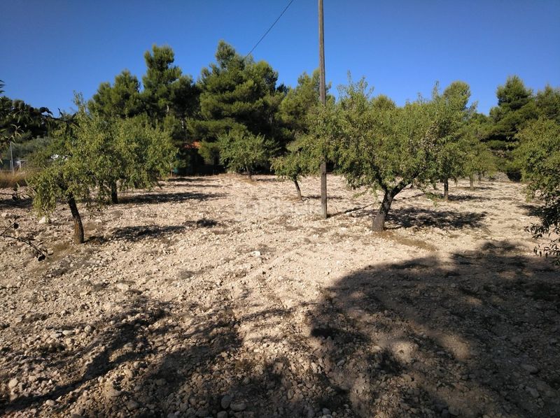 Foto 73dff42b-7ff6-4f56-8321-9031e6f2a243. Terreny residencial a Almansa