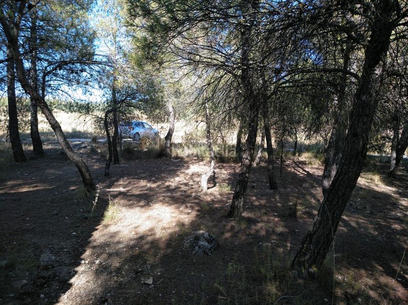 Foto 9728abc7-43dd-4aa7-a607-cc87b95e6b2c. Terreny residencial a Almansa