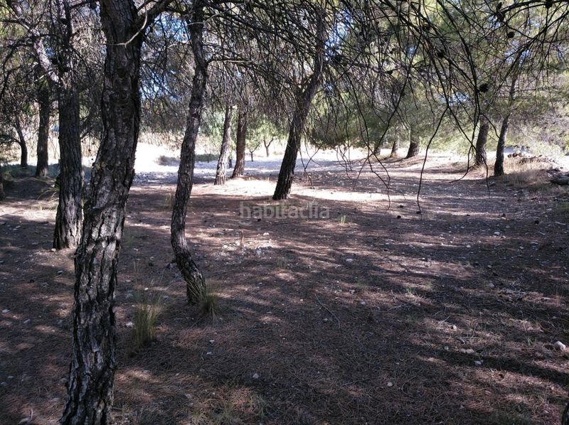 Foto a721ead8-fc82-4b4c-ac31-5a9959fee4d5. Terreny residencial a Almansa