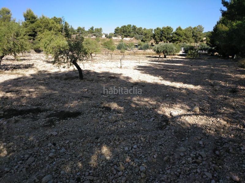 Foto a8216cd5-b489-4033-98aa-a6493fe2ebc3. Terreny residencial a Almansa