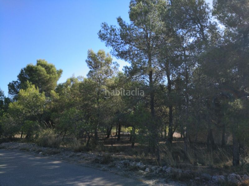 Foto b94dd7b6-f815-43e6-9b2d-20c7aa8f91af. Terreny residencial a Almansa