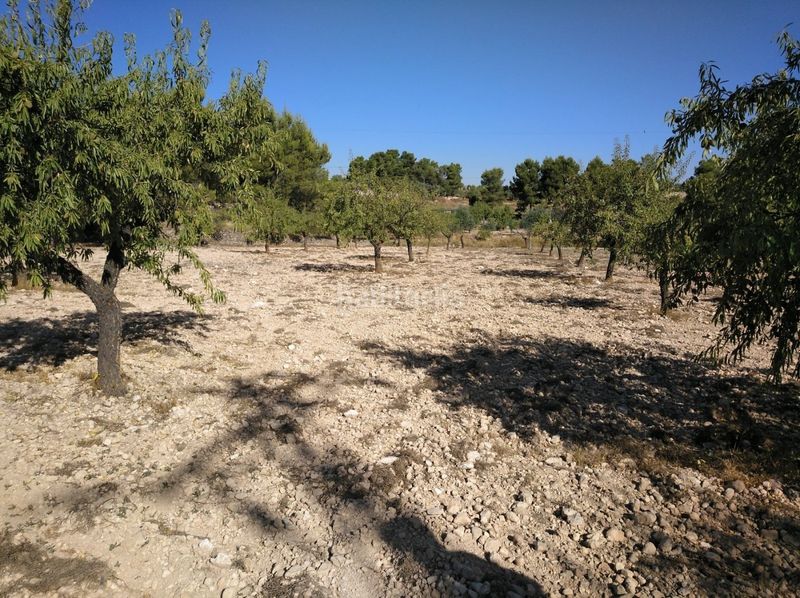 Foto d5c4a51c-7248-43cf-8437-df6e568f657b. Terreny residencial a Almansa