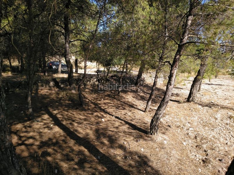 Foto f0ee0eb9-9945-442d-ace1-e2b1c903ffda. Terreny residencial a Almansa