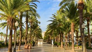 Location Appartement  Calle de bilbao. Piso en alquiler en el corazón de alicante