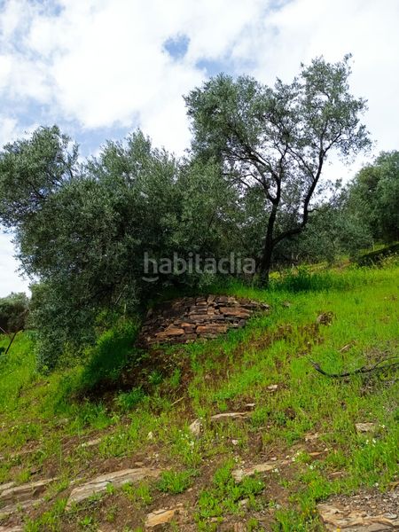 Foto 6d83e05a-e79c-499e-b993-3e99a6361049. Finca rústica a Carolina (La)