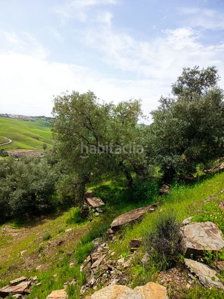 Foto ad4b84ce-ecec-4c16-8859-379ca2a954e9. Finca rústica a Carolina (La)