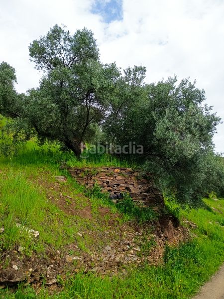 Foto becfe7eb-a850-4622-bb83-1a39a2b624eb. Finca rústica a Carolina (La)
