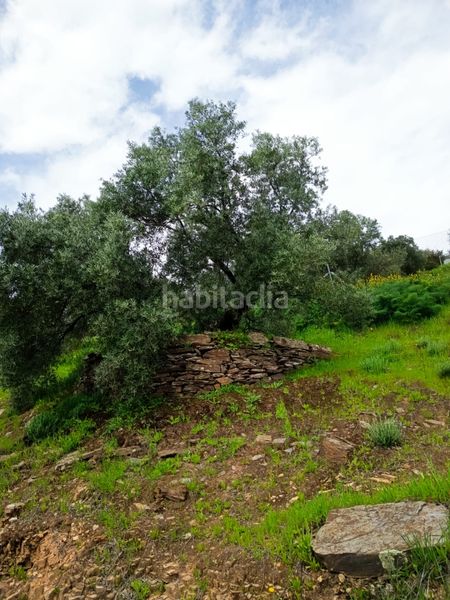 Foto f0a9f30a-752e-495a-9710-838020e0e520. Finca rústica a Carolina (La)