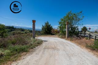 Finca rústica  Cañadas del tajo. Estupendo terreno rustico