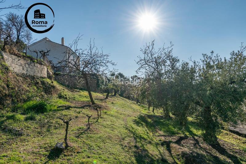 Foto d4da5784-50b5-41d7-96e3-c658e2ae207c. Masía cortijo en una planta en Monachil pueblo Monachil