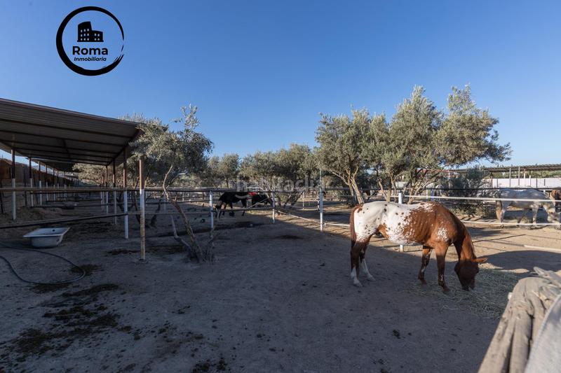 Foto f51e439c-0962-4205-a77c-083f060f7c91. Casale in Cumbres Verdes Zubia (La)