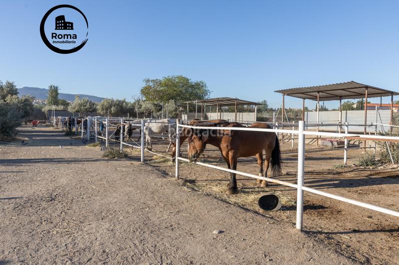 Foto 422eab77-2d86-4b13-b745-a2cc4c184a6a. Mas dans Cumbres Verdes Zubia (La)