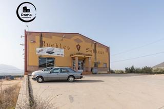 Bâtiment à usage industriel  Carretera bailen- motril. Nave industrial en venta  iznalloz ctra bailén motril
