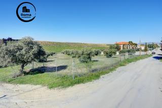 Terrain résidentiel  Avenida san javier. Terreno las gabias de secano 5.000 m2 con 50 olivos