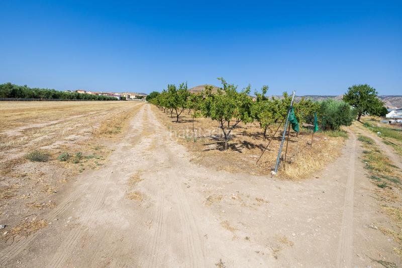 Foto b688fa0d-cfe5-40c5-8fb3-8c70c555b4b8. Chalet !! fantástica finca de recreo a 20 minutos de granada !! en Darro