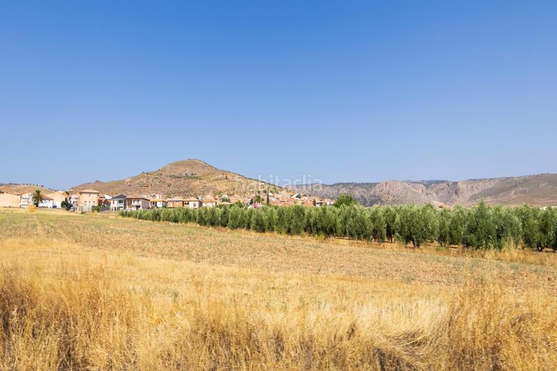 Foto e8cac1a4-561a-4857-b235-85d0ffd6a90c. Chalet !! fantástica finca de recreo a 20 minutos de granada !! en Darro