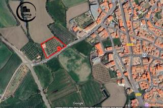 Finca rústica a Valle del Zalabí. Parcela rústica de 3.700 m con casa, piscina y árboles frutales